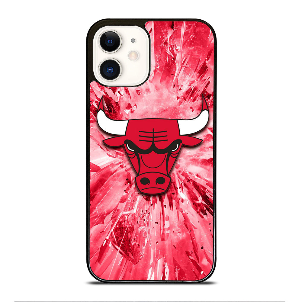 CHICAGO BULLS NBA TEAM 2 iPhone 12 Case Cover