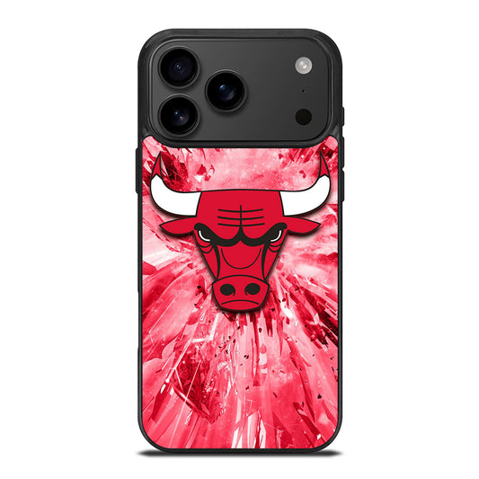 CHICAGO BULLS NBA TEAM 2 iPhone 17 Pro Max Case Cover