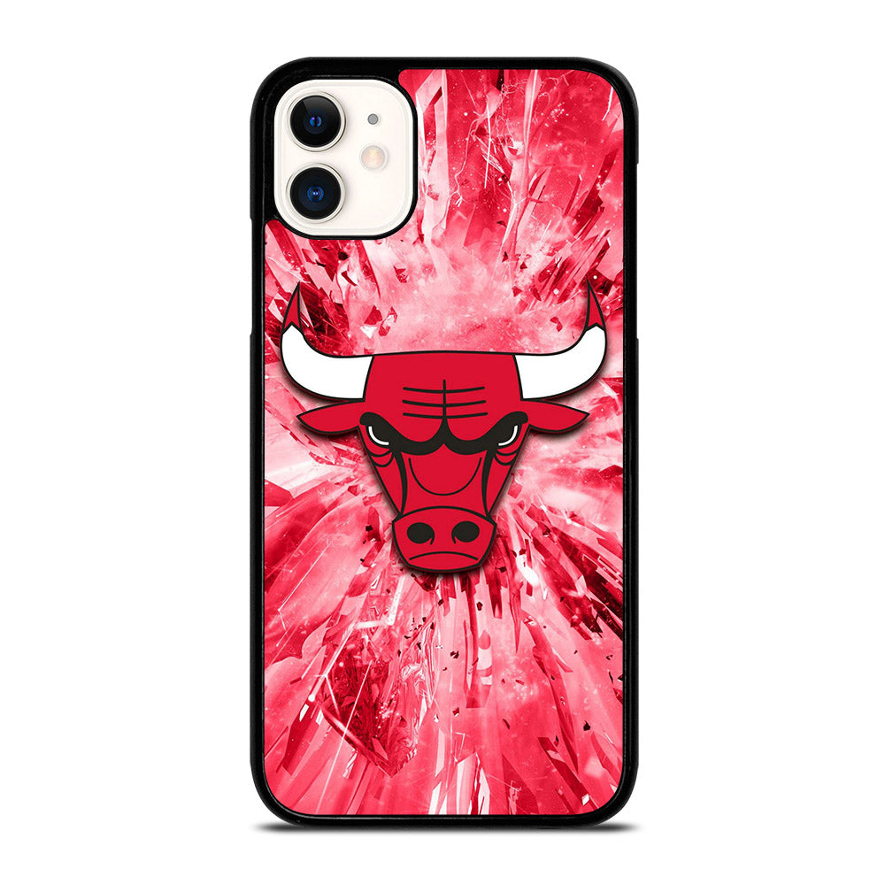 CHICAGO BULLS NBA TEAM 2 iPhone 11 Case Cover