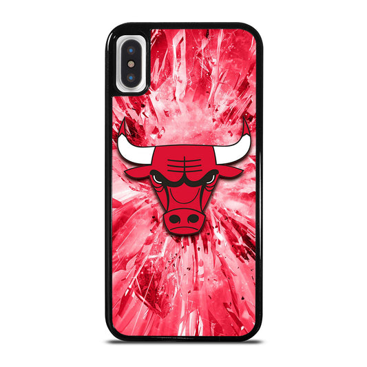 CHICAGO BULLS NBA TEAM 2 iPhone X / XS Case Cover