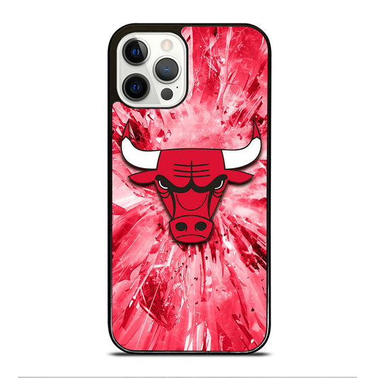 CHICAGO BULLS NBA TEAM 2 iPhone 12 Pro Case Cover