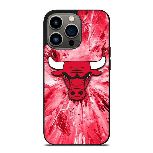 CHICAGO BULLS NBA TEAM 2 iPhone 13 Pro Case Cover