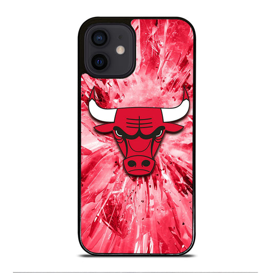 CHICAGO BULLS NBA TEAM 2 iPhone 12 Mini Case Cover