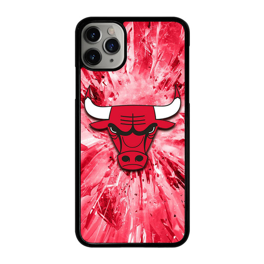 CHICAGO BULLS NBA TEAM 2 iPhone 11 Pro Max Case Cover