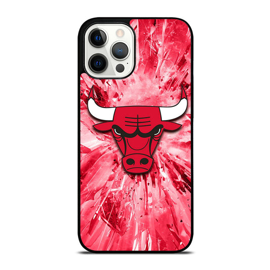 CHICAGO BULLS NBA TEAM 2 iPhone 12 Pro Max Case Cover