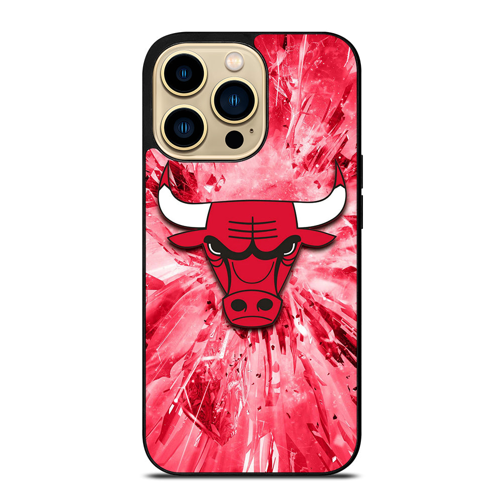 CHICAGO BULLS NBA TEAM 2 iPhone 14 Pro Max Case Cover